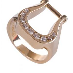 14k Yellow Gold with Horse Shoe Design