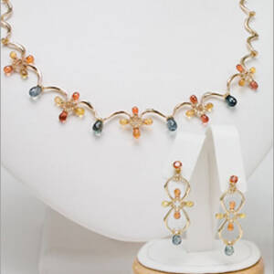 Evolution Necklace and Earring Set