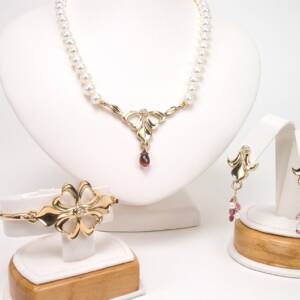 The set from The NYS Capitol- The Past